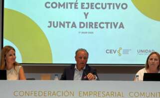 Salvador Navarro, presidente de la CEV