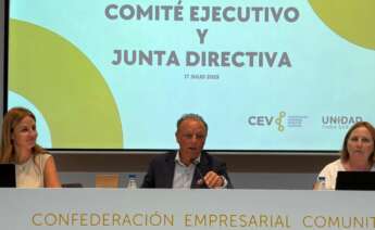 Salvador Navarro, presidente de la CEV