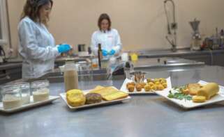 Ania trabaja con fondos Ivace+i y Feder en el desarrollo de grasas saludables y sostenibles