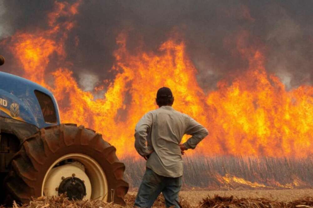 Un incendio. Foto: FUVAMA.