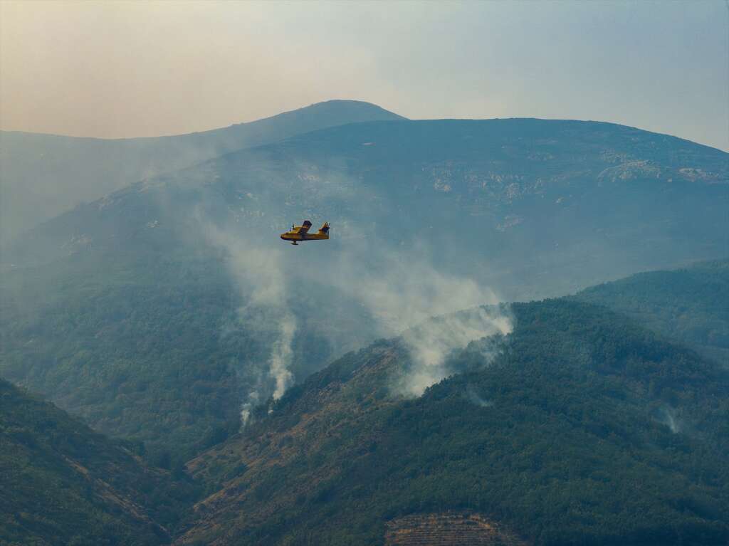 Un hidroavión colabora en las labores de extinción del fuego, a 20 de agosto de 2025, en Jerte, Cáceres, Extremadura (España). El viento, que podría registrar rachas importantes, dificultará las labores de extinción del incendio en Jarilla (Cáceres), mientras que el municipio de La Garganta está en "preaviso" por si tuviera que ser evacuado durante este miércoles, 20 de agosto. El incendio ha afectado hasta el momento a 16.000 hectáreas, con un perímetro de 160 kilómetros.

Carlos Criado / Europa Press
20 AGOSTO 2025;FUEGO;INCENDIO;
20/8/2025