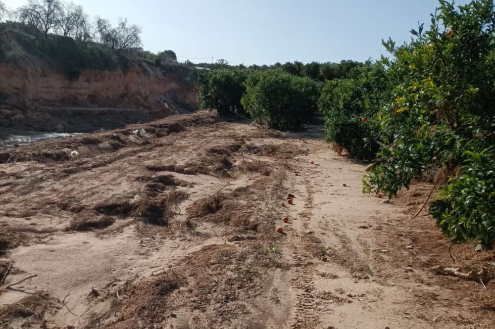 Campo dañado por la DANA en Torrent (Valencia)