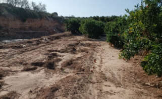 Campo dañado por la DANA en Torrent (Valencia)