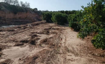 Campo dañado por la DANA en Torrent (Valencia)