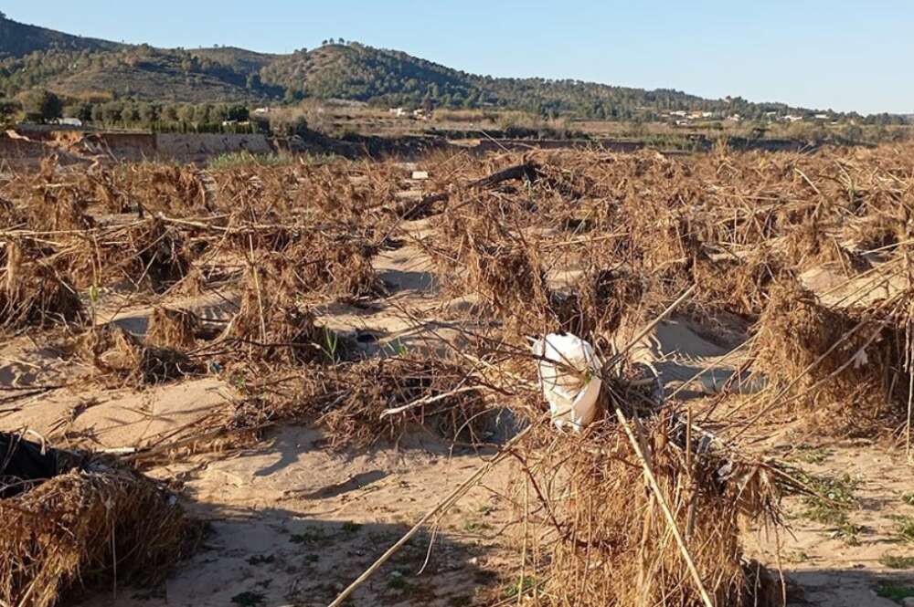 Recordemos y preparémonos para futuras riadas