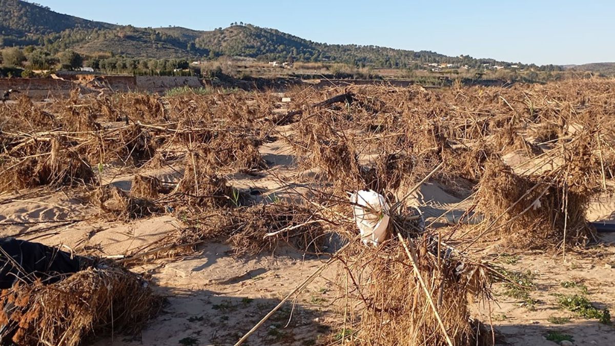 Recordemos y preparémonos para futuras riadas