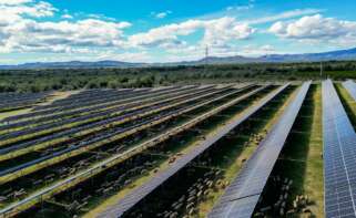 Parque solar de Sant Jordi (Castellón) de Prosolia.