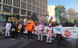 Agricultores se manifiestan en Valencia contra Mercosur y las políticas de la UE.