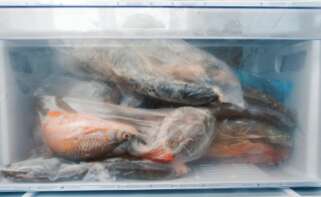 Pescado Mercadona congelador