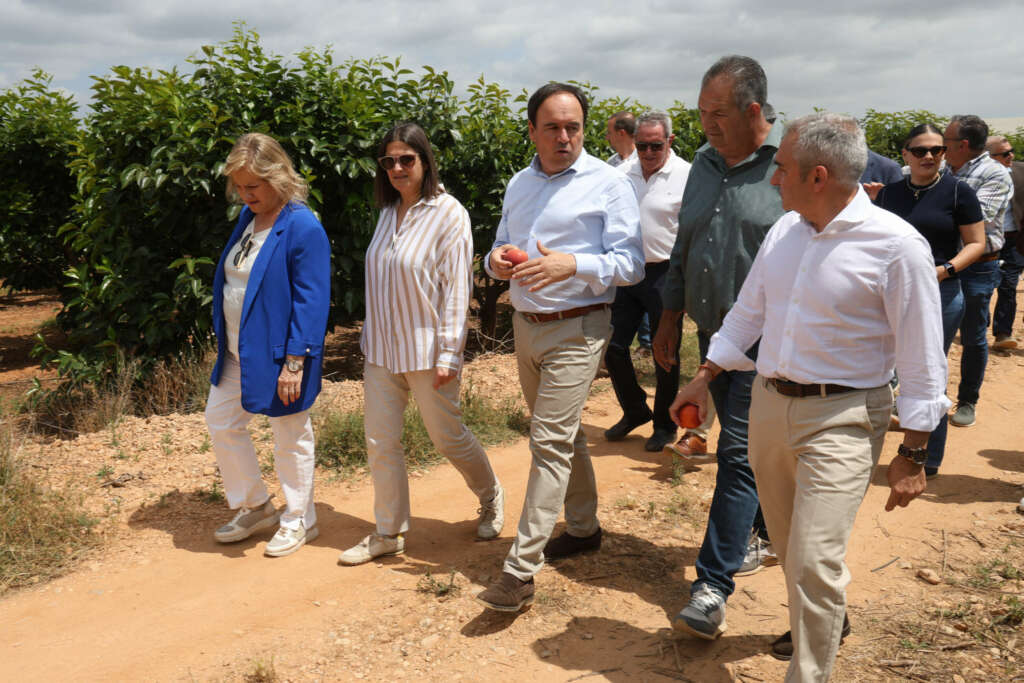 Pérez Llorca visita el camp valencià