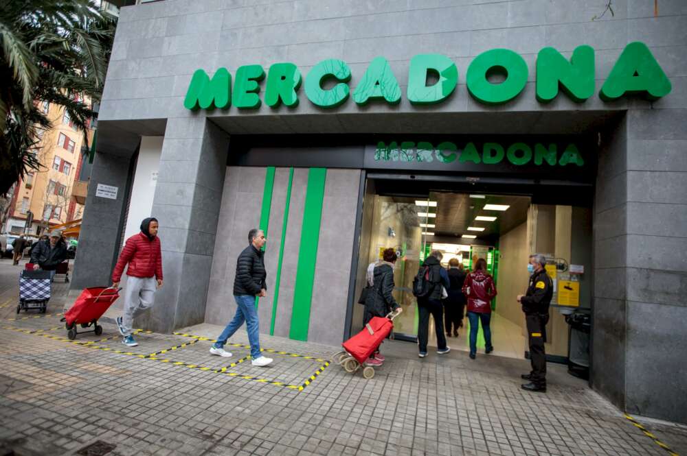 Mercadona cuenta con una amplia lista de infusiones, y estas tres son las más destacadas.