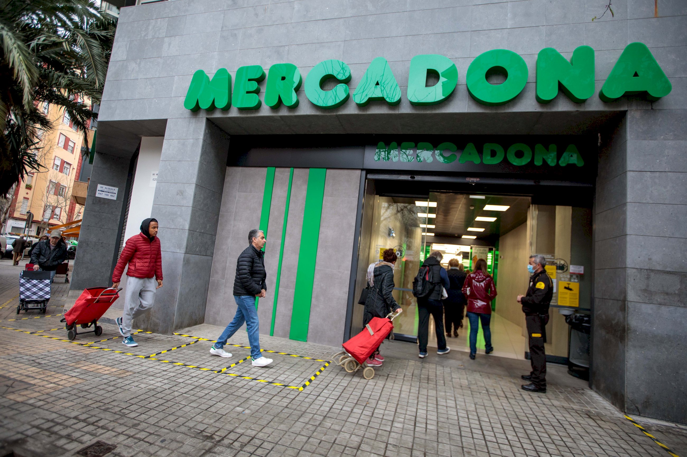 Mercadona cuenta con una amplia lista de infusiones, y estas tres son las más destacadas.