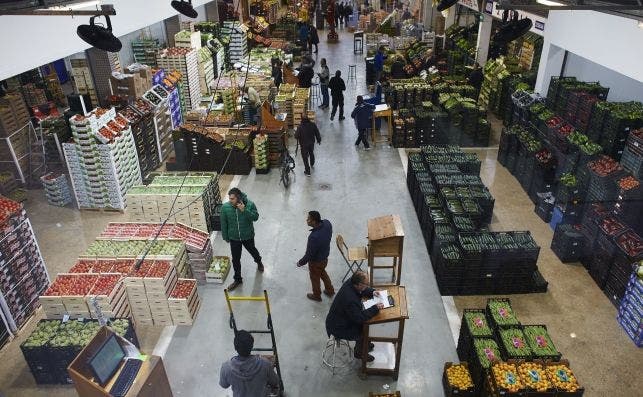 Mercabarna, uno de los principales centros alimentarios mayoristas del mundo. EFE