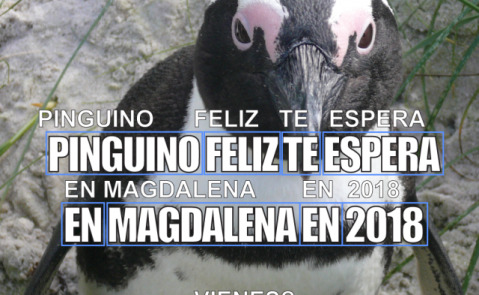 CodeBlog penguin spanish
