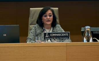 La presidenta de la Autoridad Independiente de Responsabilidad Fiscal (AIReF), Cristina Herrero, durante su comparecencia en la Comisión de Hacienda del Congreso. EFE/ Fernando Villar POOL