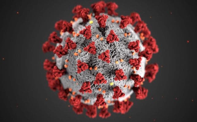 Imagen del coronavirus./ EFE