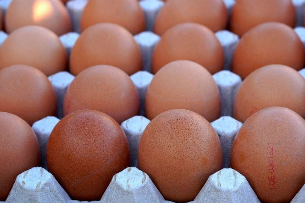 Foto en detalle de un grupo de huevos