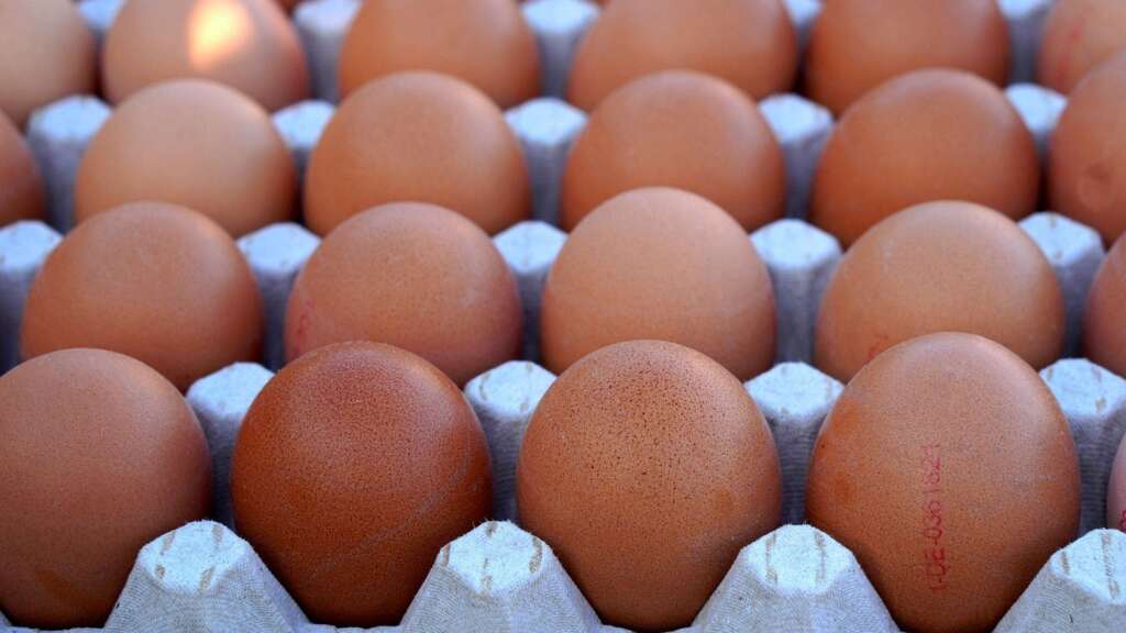 Foto en detalle de un grupo de huevos