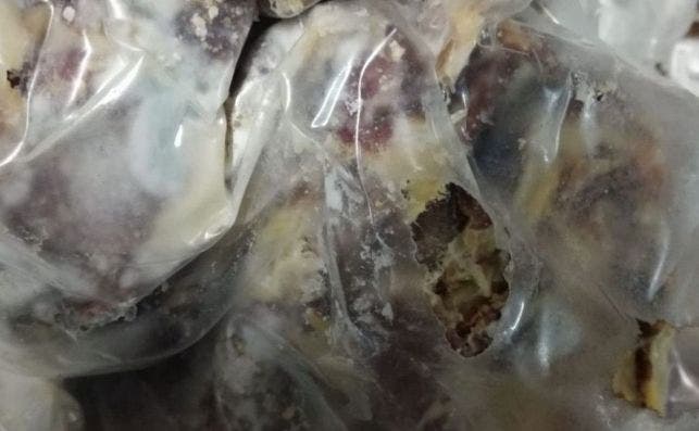 Carne mordida por ratones en una inspección en Extremadura.