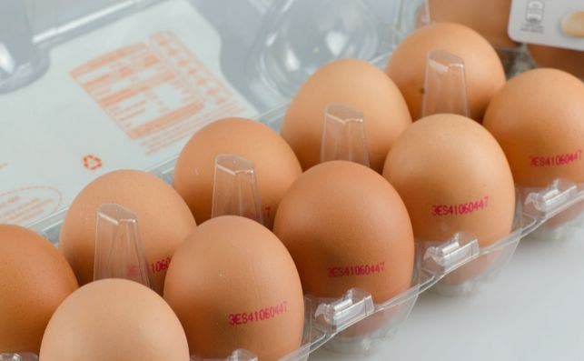 Etiquetado de huevos