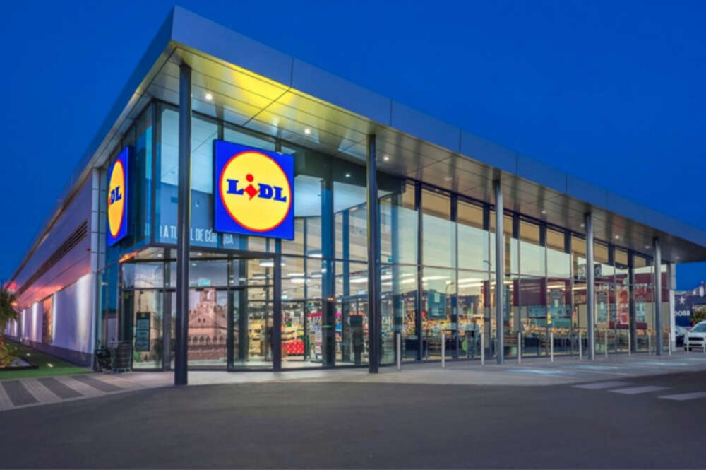 Lidl tiene el estor imprescindible para tu hogar.