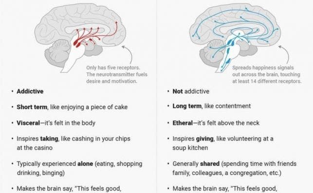 mapa consecuencias movil cerebro