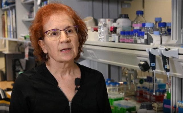 La viróloga e investigadora del CSIC, Margarita del Val./ CSIC