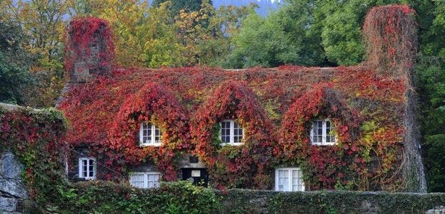 Un cottage del siglo XV en el norte de Gales en otoño Un cottage del siglo XV en el norte de Gales en otoño