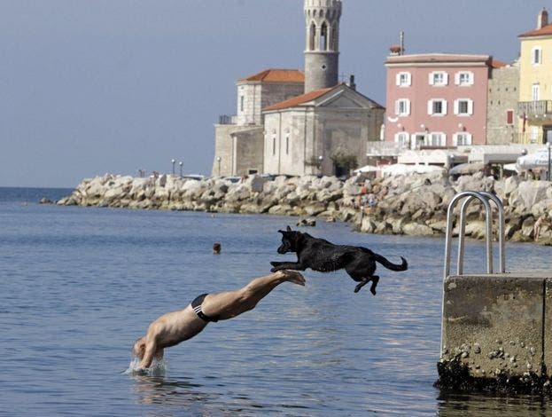 Un hombre se tira al mar junto a su perro en Pirano (Italia) Un hombre se tira al mar junto a su perro en Pirano (Italia)
