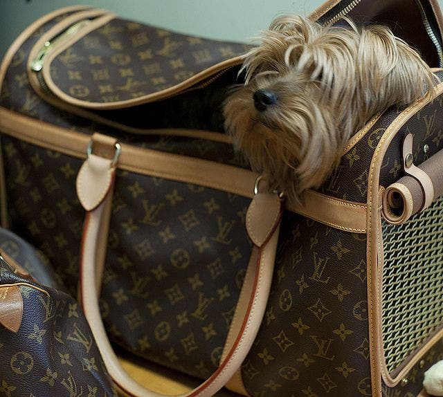 Bolso Louis Vuitton para perros.