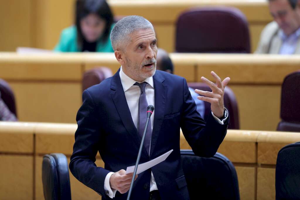 El ministro del Interior, Fernando Grande-Marlaska, durante su intervención en la sesión de control celebrada el 16 de junio de 2020 en el Senado | EFE/JM/Archivo