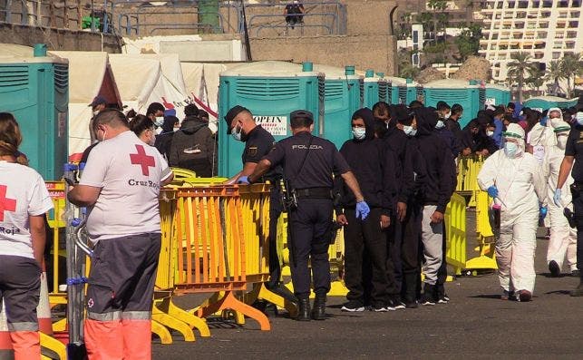 Campamento de Arguineguín en Canarias. Foto: EFE/Chema Rodríguez.