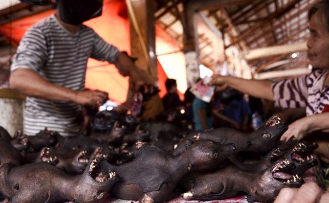 Venta de carne de murciélago en un mercado en Indonesia en septiembre de 2016. El origen del nuevo coronavirus es un enigma, pero se sabe que el virus lleva décadas en estos animales | EFE/EPA/UP/Archivo