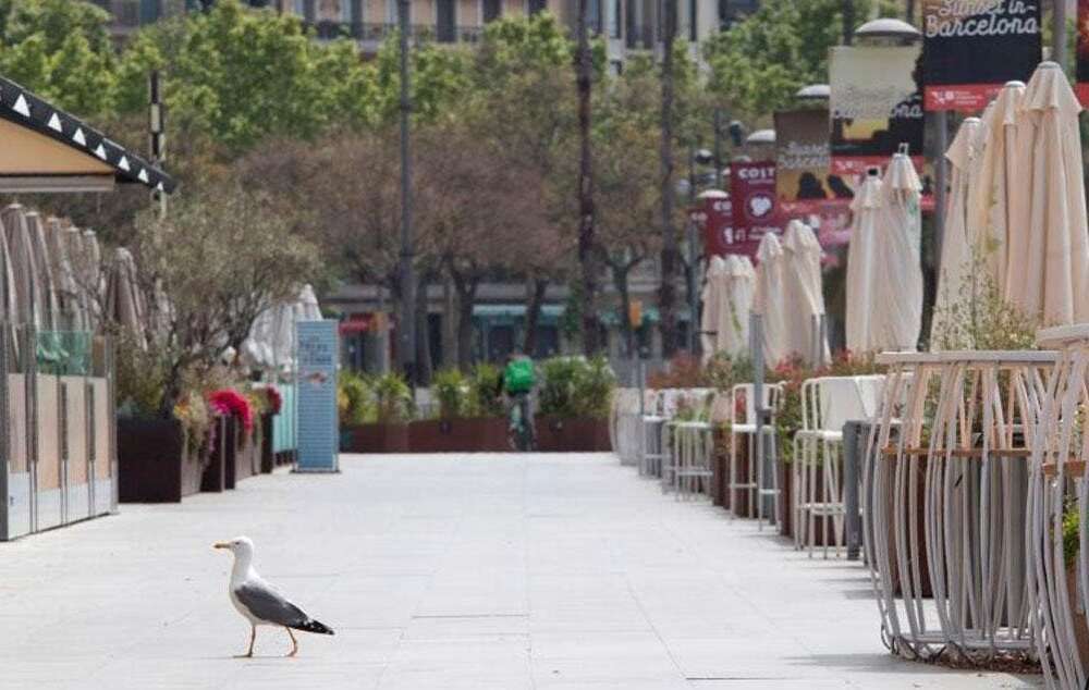 Aumenta el número de empresas en quiebra en España/ EFE