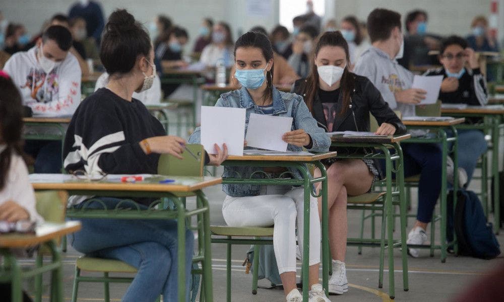 Cómo acceder a las Becas Mec Universidad