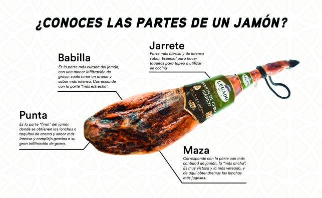 INFOGRAFÍA PARTES DEL JAMÓN Ok.