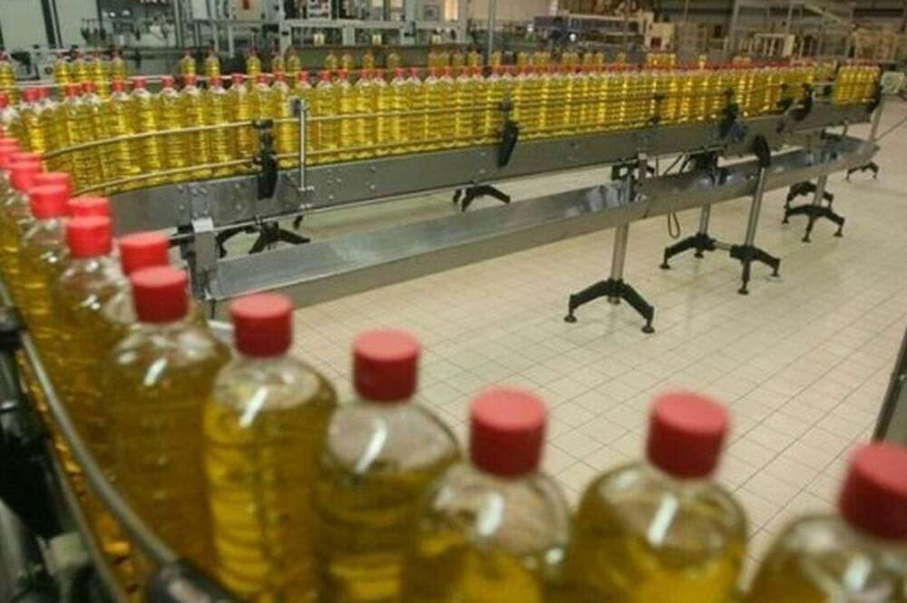 Planta de embotelledo de aceite de oliva en una fábrica