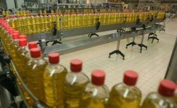 Planta de embotelledo de aceite de oliva en una fábrica