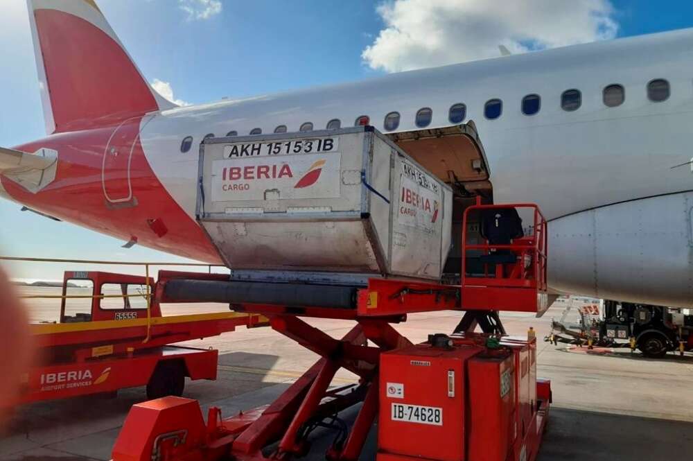 MADRID, 14/01/2021.-El Grupo Iberia está llevando las vacunas de Moderna a Canarias, Baleares y Melilla. Los primeros envíos se realizaron ayer, en un vuelo de Iberia Express, el IB3826, que voló ayer de Madrid a Gran Canaria, y en otro de Iberia Regional / Air Nostrum de Málaga a Melilla, en total 13.200 dosis.- EFE/ Iberia /SOLO USO EDITORIAL/SOLO DISPONIBLE PARA ILUSTRAR LA NOTICIA QUE ACOMPAÑA