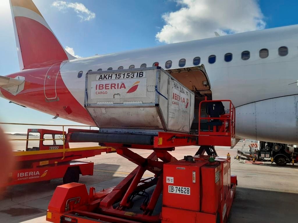 MADRID, 14/01/2021.-El Grupo Iberia está llevando las vacunas de Moderna a Canarias, Baleares y Melilla. Los primeros envíos se realizaron ayer, en un vuelo de Iberia Express, el IB3826, que voló ayer de Madrid a Gran Canaria, y en otro de Iberia Regional / Air Nostrum de Málaga a Melilla, en total 13.200 dosis.- EFE/ Iberia /SOLO USO EDITORIAL/SOLO DISPONIBLE PARA ILUSTRAR LA NOTICIA QUE ACOMPAÑA