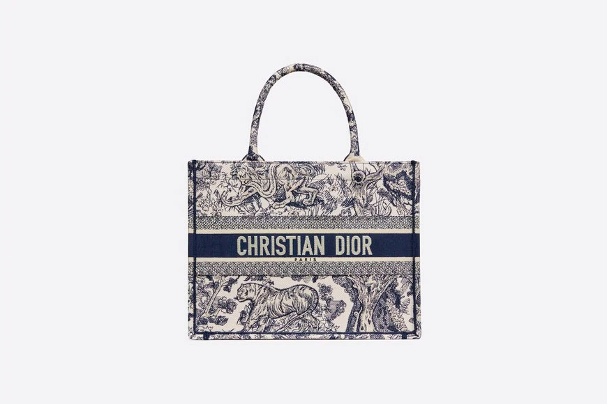 Dior Book Tote