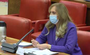 La periodista Carmen Sastre durante su comparecencia en el Congreso de los Diputados, el 14 de enero de 2021, como candidata al consejo de administración de RTVE | Congreso/Archivo