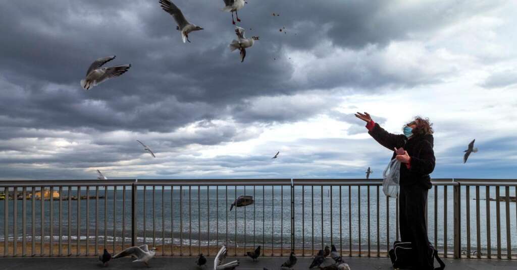 Una mujer alimenta a las gaviotas en la playa de Barcelona. EFE/Enric Fontcuberta/Archivo