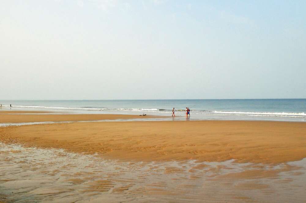 Parque de Doñana. Foto (cc) Aris Gionis en Flickr