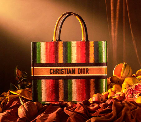 Dior Tote Book Bag