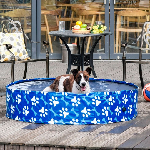 Piscina para perros de Carrefour 