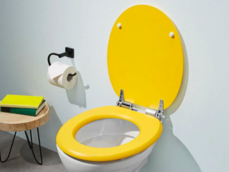 tapa WC Lidl 