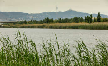 Río Llobregat. Aigües de Barcelona