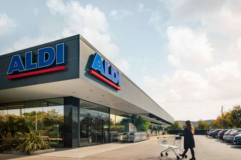 El deshumidificador de Aldi acaba de un plumazo con los hongos en las paredes.