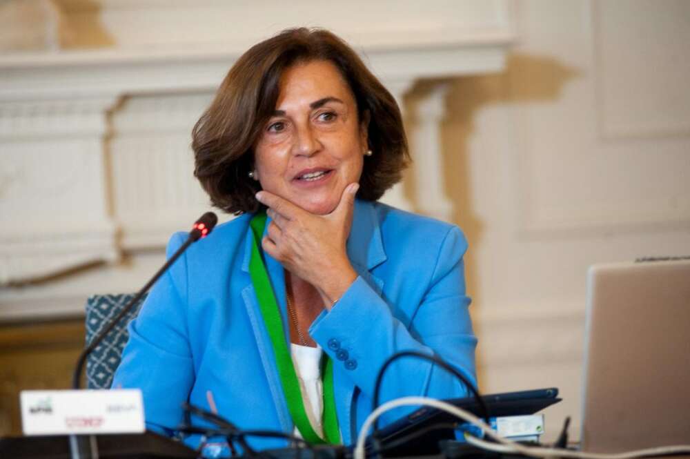 Ángeles Santamaría, Consejera Delegada de Iberdrola España, durante su intervención en el curso de verano organizado por la APIE en la UIMP de Santander